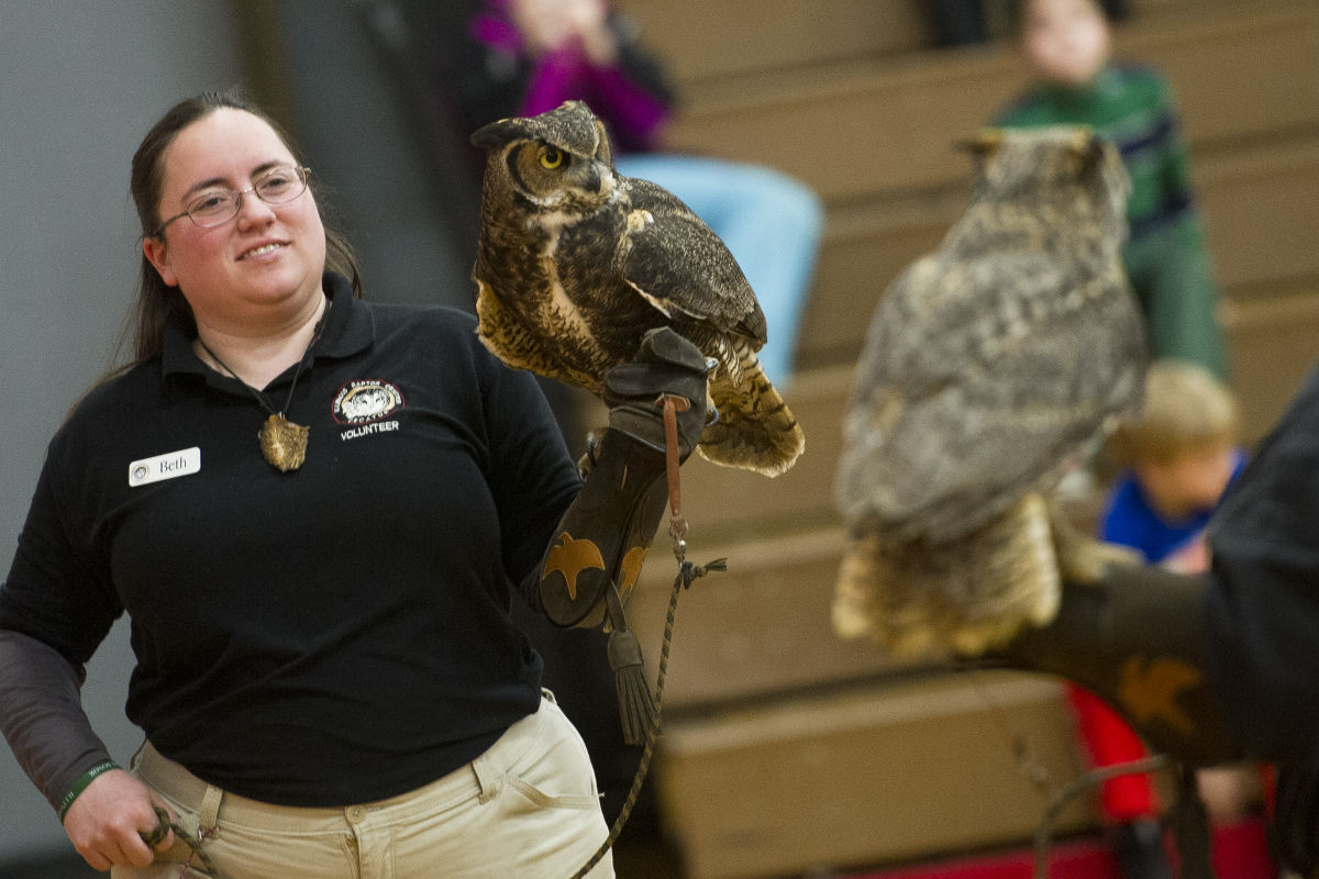 Festival of Owls 16